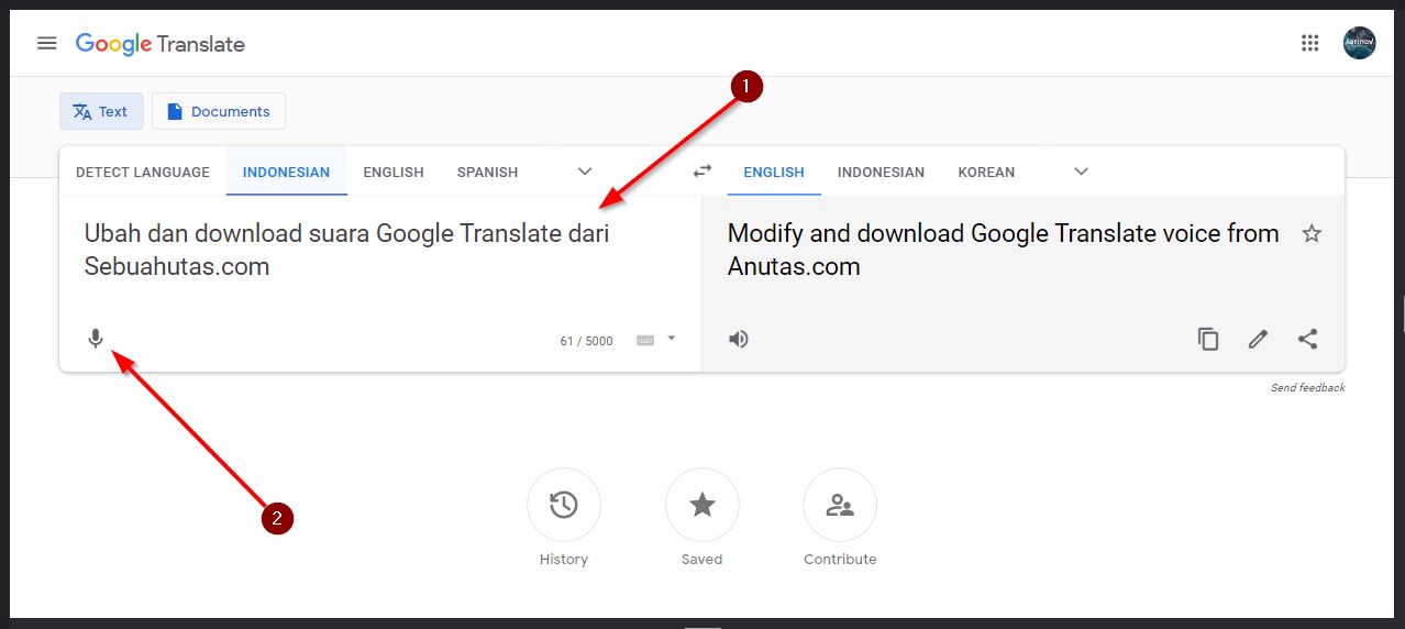 buat sound of text dj dengan google translate
